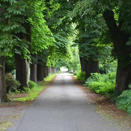Wohnung Am Weserradweg Deesberg 외부 사진